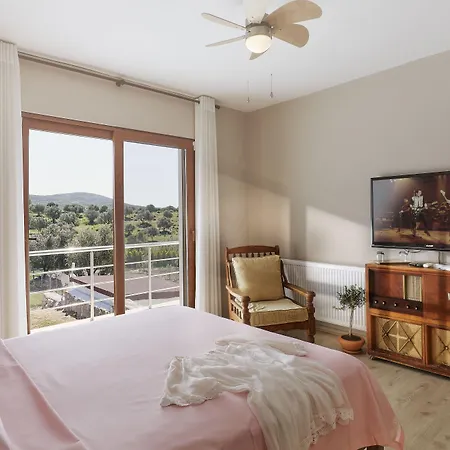 L'olivier Lantställe