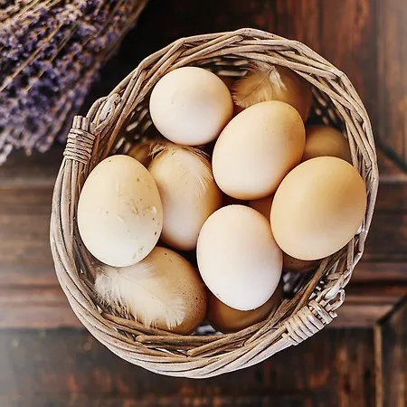 Lantställe L'olivier Alaçatı