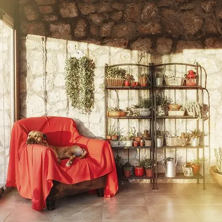 Country house L'olivier *