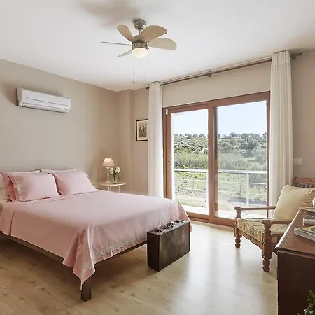 L'olivier Casa de Campo *