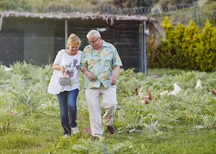 Country house L'olivier *