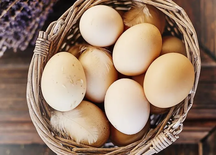 Country house L'olivier Alacati